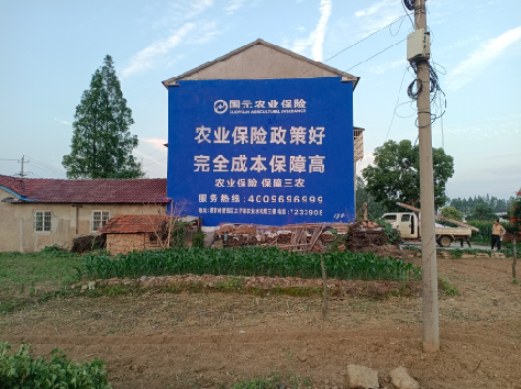 孝昌墙体广告的优劣势你知道吗？