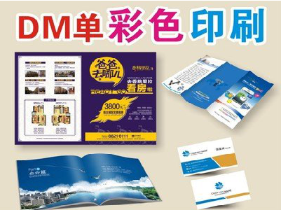 孝昌单页印刷，色彩搭配简单。